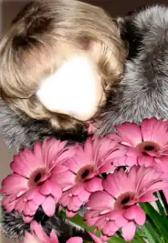 Fotoeffekt fra kategori For kvinner № 38949