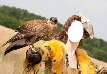 Fotoeffekt fra kategori For kvinner № 61598 Fotoeffekt fra kategori For kvinner № 61598