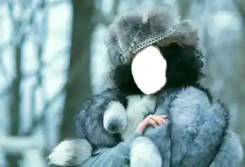 Fotoeffekt fra kategori For kvinner № 85277