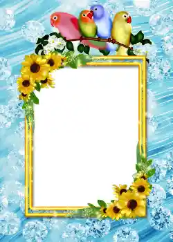 Fotoeffekt fra kategori Album nr.4 № 860