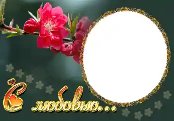 Fotoeffekt fra kategori Rammer for elskere № 1753. Innskriften på rammen: С любовью...