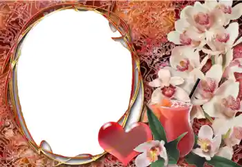 Fotoeffekt fra kategori Rammer for elskere № 2198