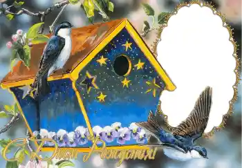 Fotoeffekt fra kategori Bursdagskort № 116013. Innskriften på rammen: Gratulerer Med Bursdagen! Fotoeffekt fra kategori Bursdagskort № 116013. Innskriften på rammen: Gratulerer Med Bursdagen!