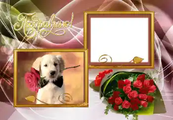 Innskriften på rammen: Gratulerer!