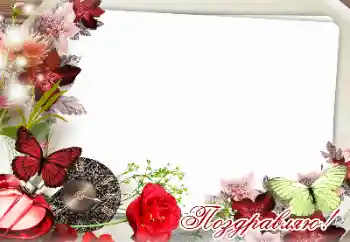 Innskriften på rammen: Gratulerer!