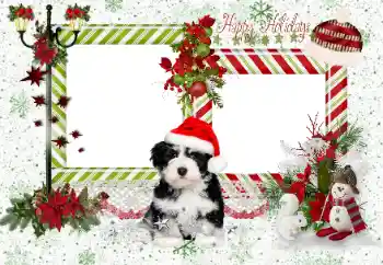 Innskriften på rammen: Happy Holidays