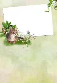 Fotoeffekt fra kategori Ulike helligdager № 167762