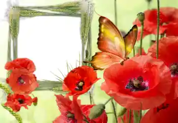 Innskriften på rammen: Victory in Europe Day