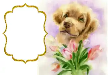 Fotoeffekt fra kategori Ulike helligdager № 190529