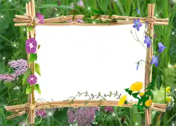 Fotoeffekt fra kategori Sommer № 1001