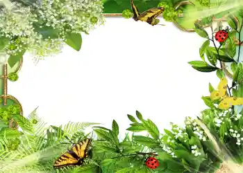 Fotoeffekt fra kategori Sommer № 1109