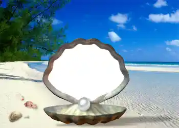 Fotoeffekt fra kategori Sommer № 1111