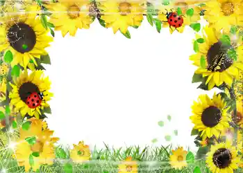 Fotoeffekt fra kategori Sommer № 1113