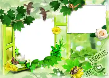 Fotoeffekt fra kategori Sommer № 1120