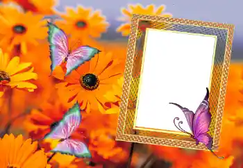 Fotoeffekt fra kategori Sommer № 112111 Fotoeffekt fra kategori Sommer № 112111