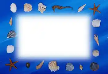 Fotoeffekt fra kategori Sommer № 113121 Fotoeffekt fra kategori Sommer № 113121