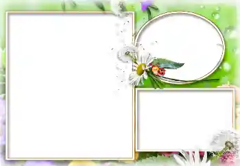 Fotoeffekt fra kategori Sommer № 114273