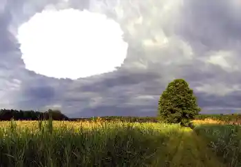 Fotoeffekt fra kategori Sommer № 114385