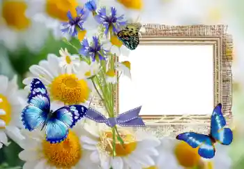 Fotoeffekt fra kategori Sommer № 114393