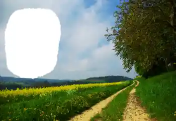 Fotoeffekt fra kategori Sommer № 114551