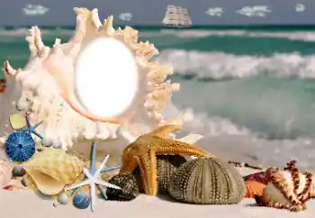 Fotoeffekt fra kategori Sommer № 115806