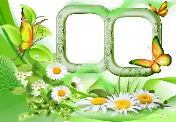 Fotoeffekt fra kategori Sommer № 115844