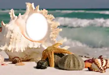 Fotoeffekt fra kategori Sommer № 116085