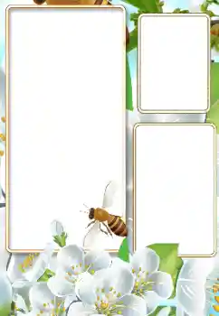 Fotoeffekt fra kategori Sommer № 116125