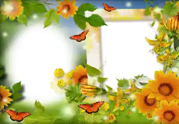 Fotoeffekt fra kategori Sommer № 116126