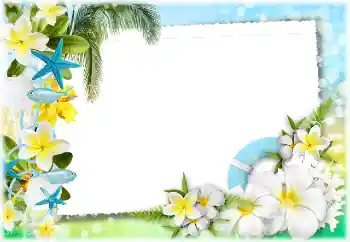 Fotoeffekt fra kategori Sommer № 117734