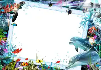 Fotoeffekt fra kategori Sommer № 121106