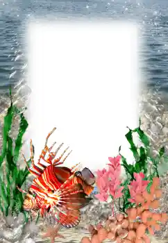 Fotoeffekt fra kategori Sommer № 121109