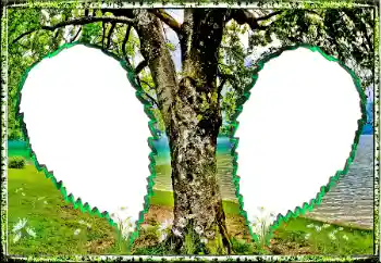 Fotoeffekt fra kategori Sommer № 123182