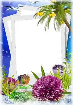 Fotoeffekt fra kategori Sommer № 124280