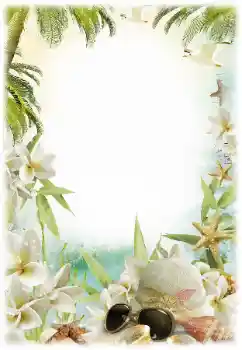 Fotoeffekt fra kategori Sommer № 124281