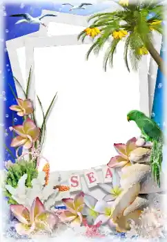 Fotoeffekt fra kategori Sommer № 124282