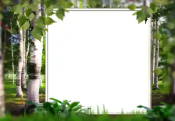 Fotoeffekt fra kategori Sommer № 128567