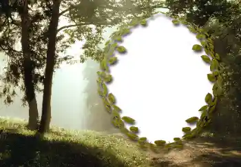 Fotoeffekt fra kategori Sommer № 130985