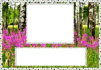 Fotoeffekt fra kategori Sommer № 131011