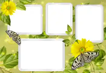 Fotoeffekt fra kategori Sommer № 131450