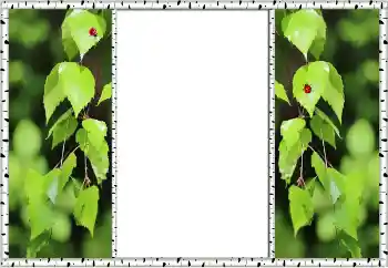 Fotoeffekt fra kategori Sommer № 132875