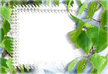 Fotoeffekt fra kategori Sommer № 132911