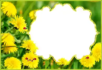 Fotoeffekt fra kategori Sommer № 132994