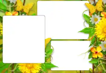 Fotoeffekt fra kategori Sommer № 138523