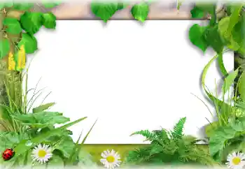 Fotoeffekt fra kategori Sommer № 138647