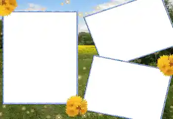 Fotoeffekt fra kategori Sommer № 13915 Fotoeffekt fra kategori Sommer № 13915