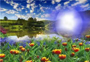 Fotoeffekt fra kategori Sommer № 13960