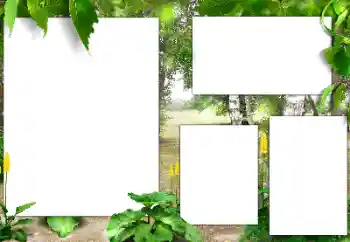 Fotoeffekt fra kategori Sommer № 141163