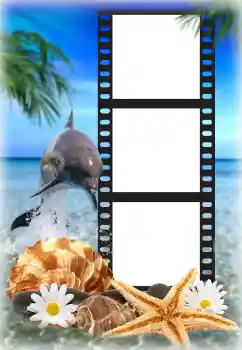 Fotoeffekt fra kategori Sommer № 142225