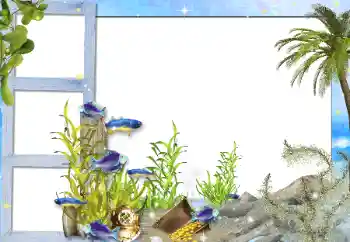 Fotoeffekt fra kategori Sommer № 142298